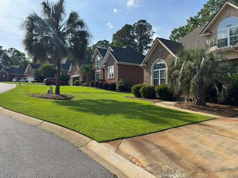 Suburban street with brick houses, green lawns, palm trees, and a curved sidewalk under a sunny sky