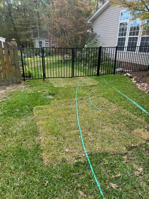 Backyard lawn with green garden hose, black metal fence, and house in the background