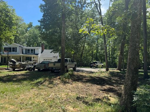 Wooded yard with parked trucks beside a white house in sunlight