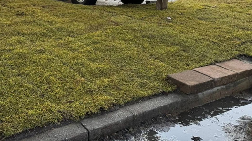 Grassy roadside with a curb, narrow water channel, and a few bricks along the edge