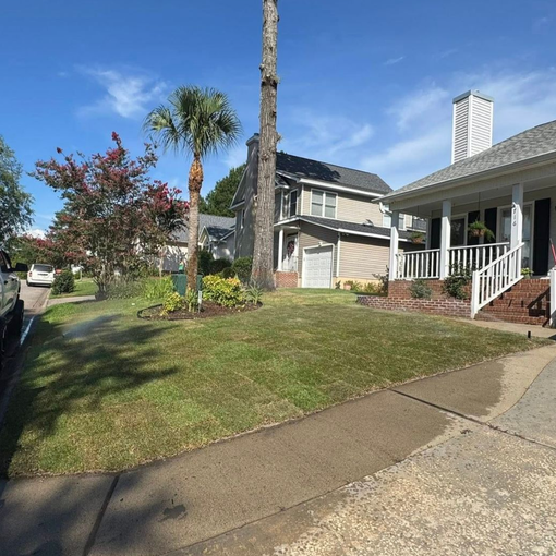 Sunny suburban house with a front lawn, palm tree, and concrete walkway beside a porch