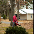 Person using a red leaf blower in a yard beside a tree and house, clearing autumn leaves