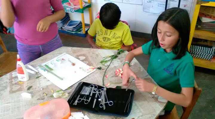 Preescolar 