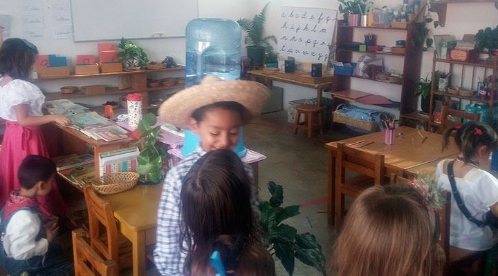 Primaria