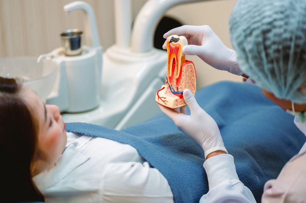 A Dentist is Holding a Model of a Tooth in Front of a Patient — Mount Archer Medical Centre in Berserker, QLD