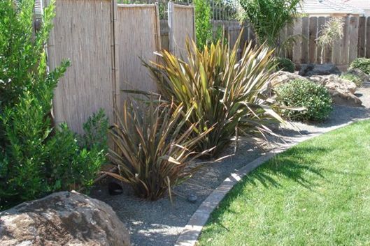 Landscaped garden border with rocks, tall ornamental plants, a wooden fence, and green lawn