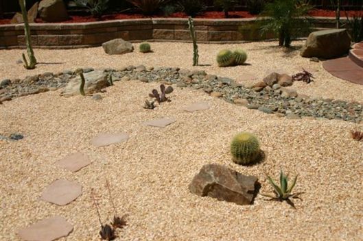 Desert rock garden with cacti, gravel, stepping stones, and a low stone border.