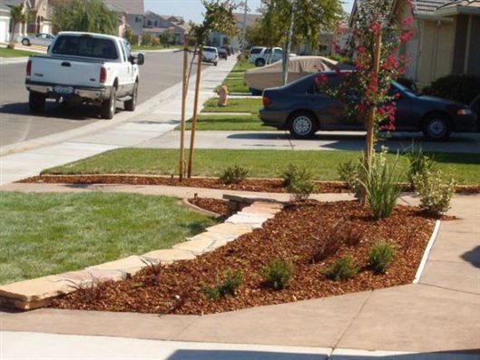 Front yard landscape with mulch beds, shrubs, and a curved concrete walkway beside a suburban street.