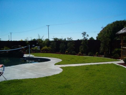 Backyard with curved concrete patio, green lawn, and a pool under a clear blue sky