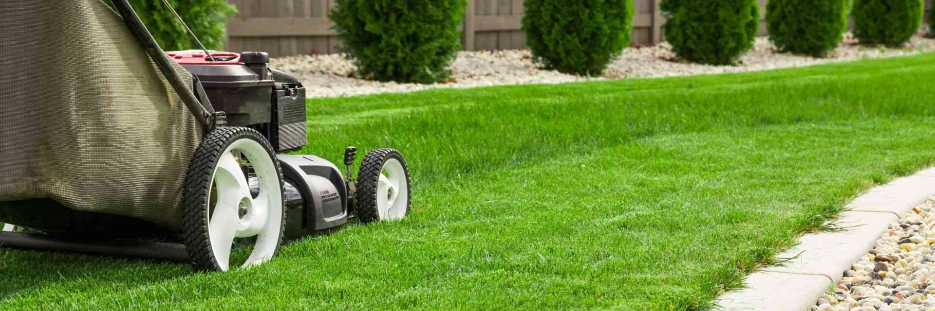 Riding lawn mower trimming a bright green lawn beside a sidewalk and row of shrubs