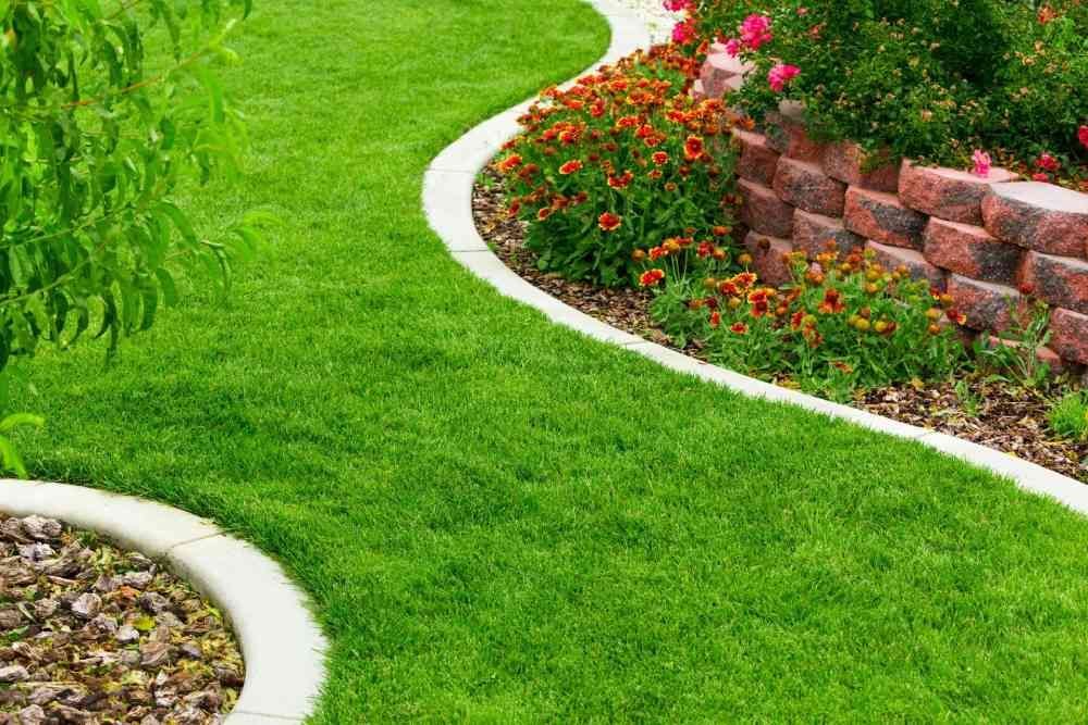 Curved garden bed with red flowers and bright green lawn beside a stone retaining wall