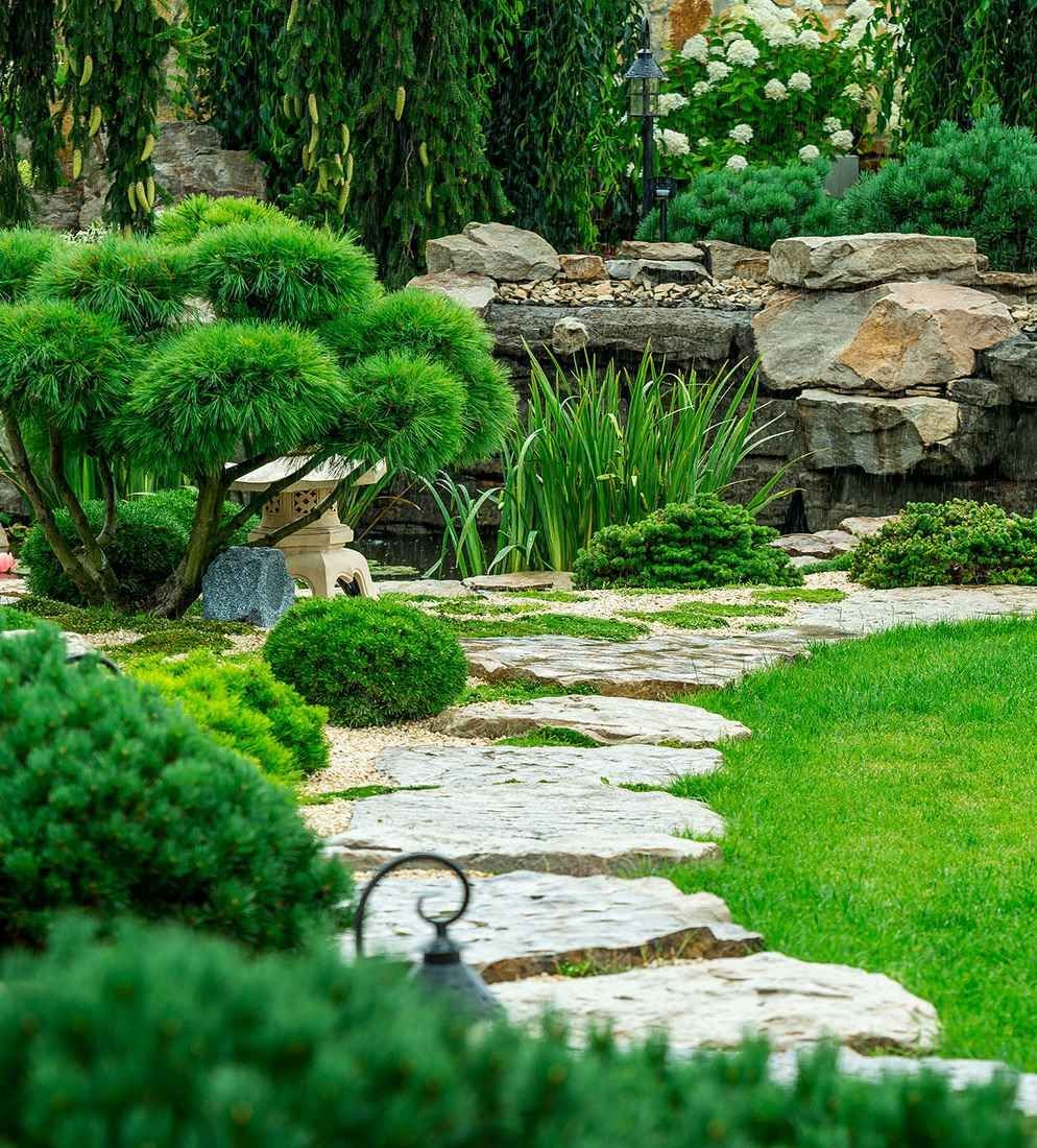 Stone garden path winding through lush green shrubs and grass beside a rock wall