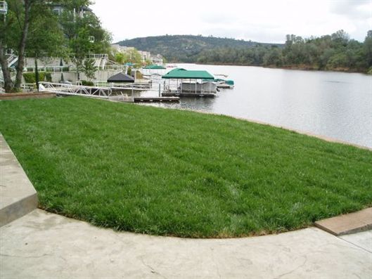 Grassy lawn beside a calm lake with a dock and covered boats on a cloudy day