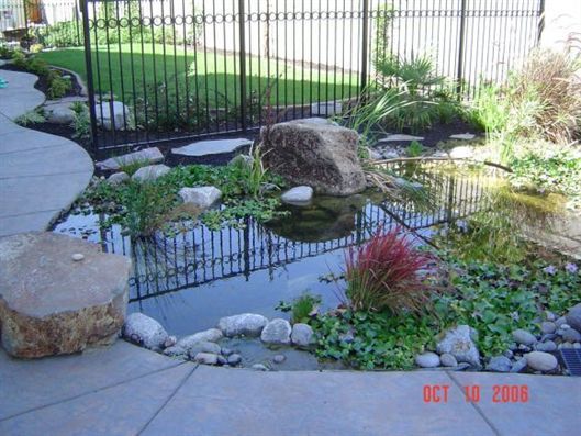 Backyard pond with rocks, aquatic plants, and a black fence reflected in the water