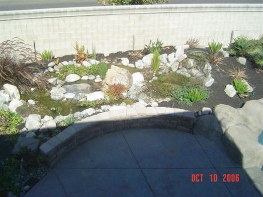 Small rock garden with succulents and white stones beside a curved concrete path.