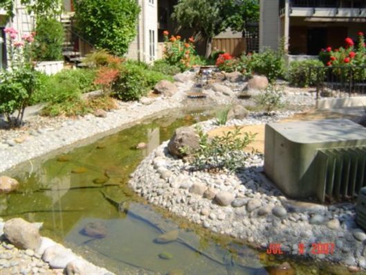 Small garden pond with rocks, plants, and a green pump in a landscaped backyard