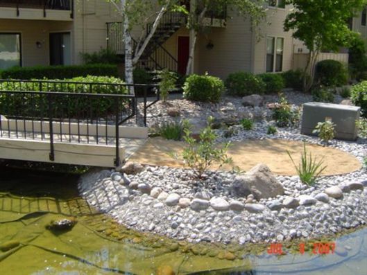 Pond with lily pads, white rocks, and a small footbridge beside an apartment building
