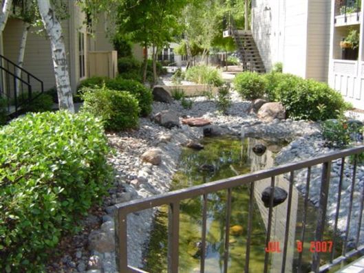 Courtyard garden with a small pond, rocks, green shrubs, and a metal railing in the foreground