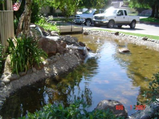 Shallow stream with rocks and greenery beside parked cars on a sunny street
