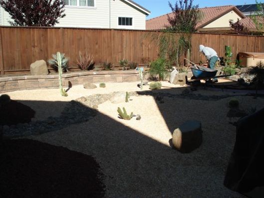 Backyard with fresh gravel, desert plants, and a person working near the fence
