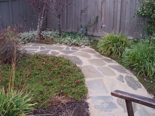 Stone garden path curving through a backyard with mulch, plants, and a wooden fence