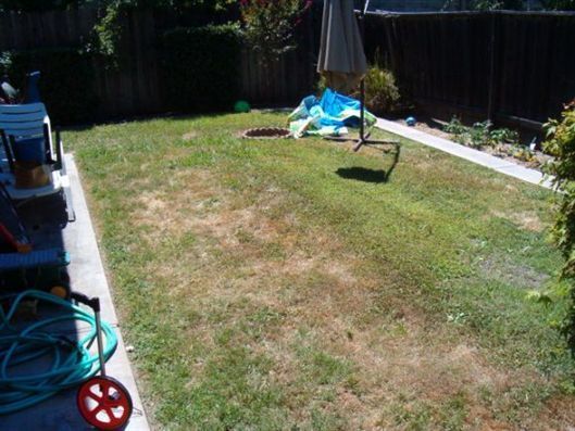 Backyard with patchy grass, a blue-and-yellow swing, and garden items along the fence