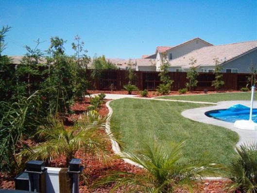 Backyard with lawn, palm shrubs, and a small blue swimming pool beside a house under a clear sky