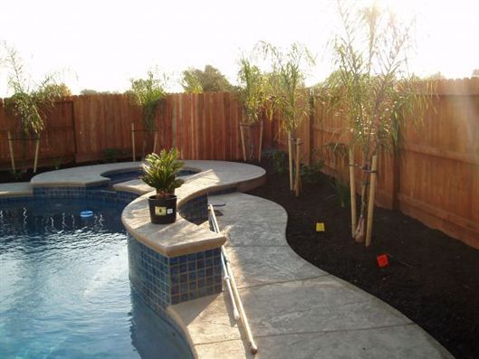 Backyard swimming pool with curved concrete deck, wooden fence, and potted plant centerpiece