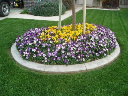 Circular flower bed with purple and yellow flowers in a green lawn