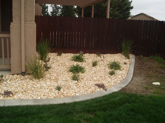 Landscaped yard with white rock, small shrubs, curved concrete border, and a wooden fence.