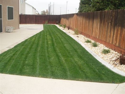 Narrow green lawn strip beside a concrete walkway and wooden fence along a house exterior