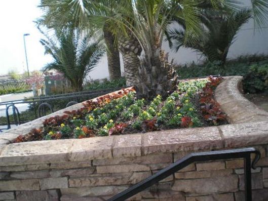 Palm tree and colorful flower bed in a stone planter beside a walkway with a black handrail.