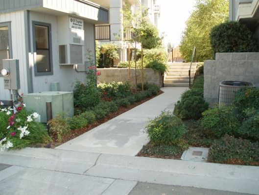 Residential walkway bordered by flower beds and shrubs beside modern apartment buildings