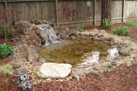 Backyard pond with small waterfall, rocks, and mulch beside a wooden fence