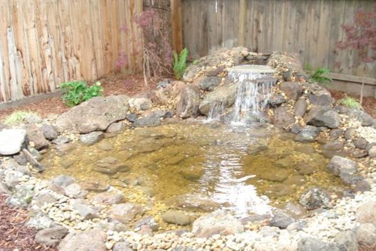 Small backyard pond with a rock waterfall and wooden fence background