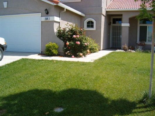 Suburban house with green lawn, driveway, and flowering bushes in front
