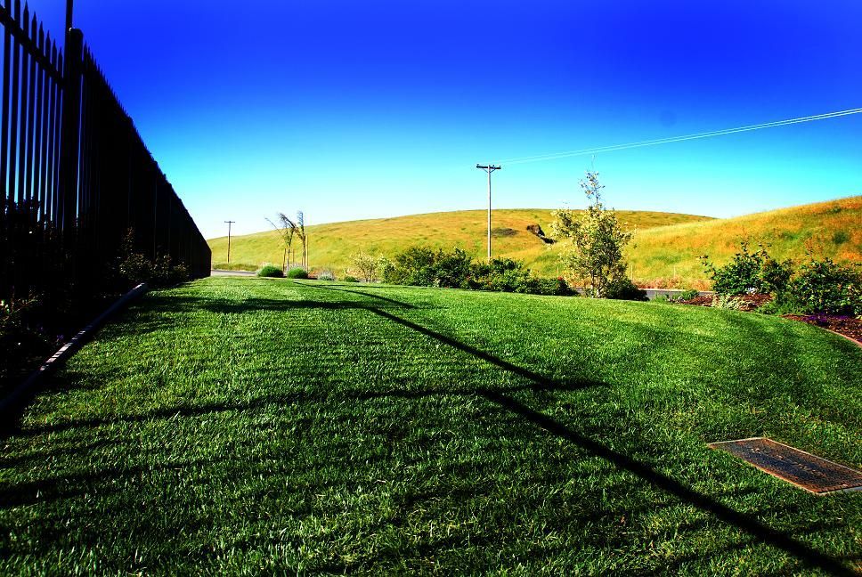 Sunny grassy park beside a black fence, with rolling hills and a clear blue sky.