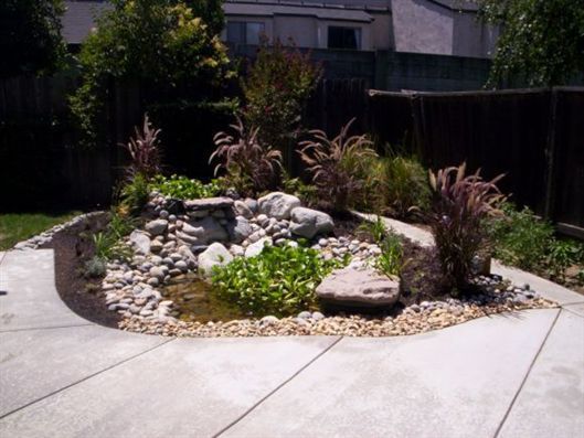 Small landscaped rock garden with succulents and pebbles beside a curved concrete walkway.