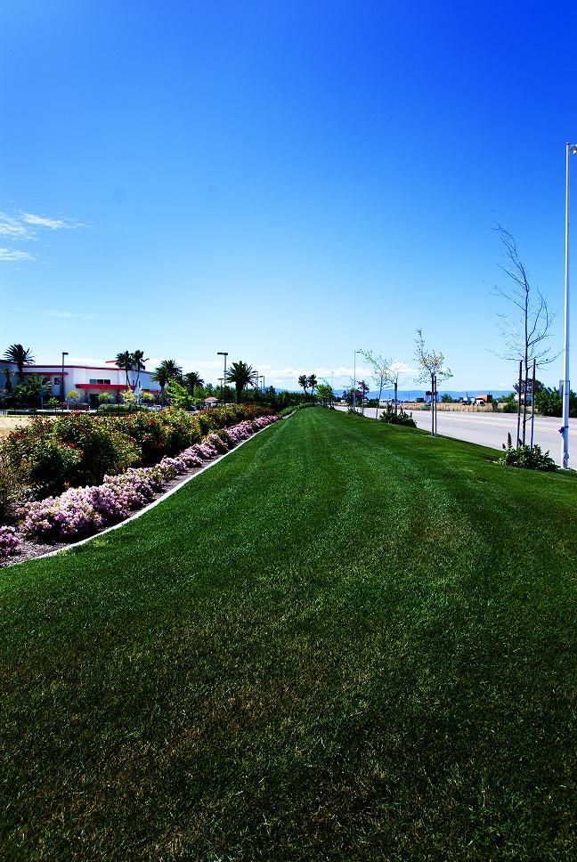 Sunny seaside path beside a green lawn and pink flowers under a clear blue sky