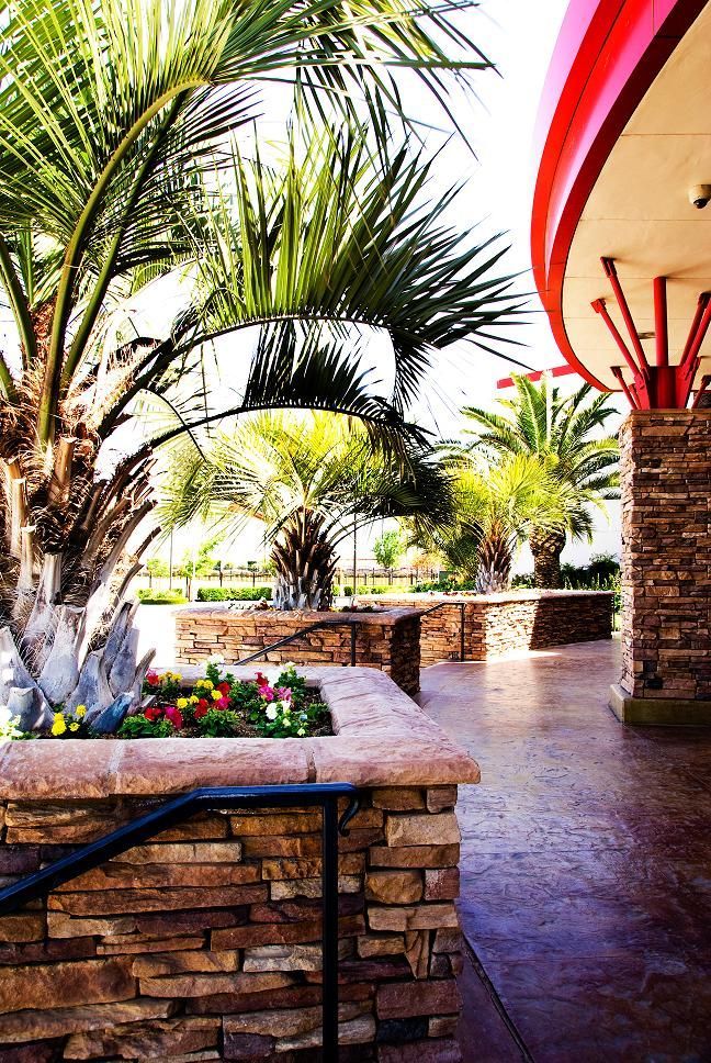 Tropical outdoor patio with palm trees, stone planters, and a red-trimmed building walkway