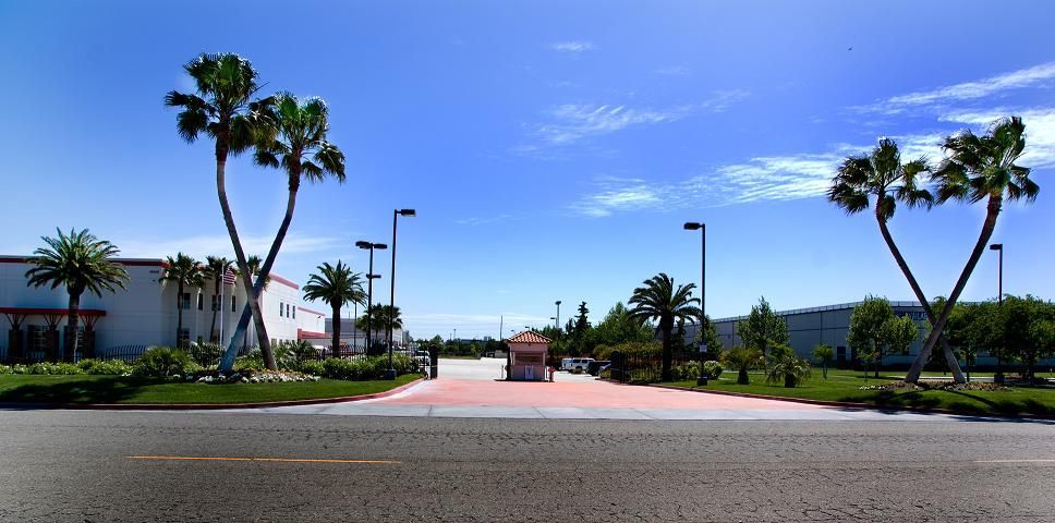 Wide palm-lined road leading to a building entrance under a bright blue sky