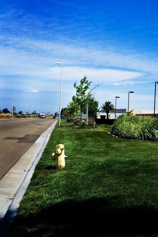Sunny suburban sidewalk beside a grassy verge with a yellow fire hydrant and streetlights under a blue sky