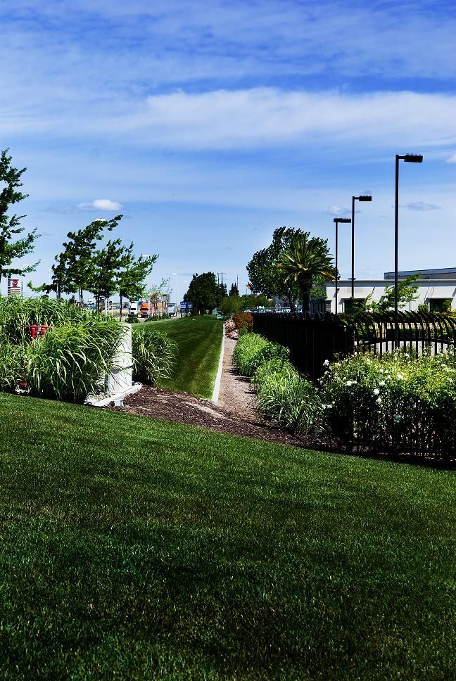 Sunny landscaped path with green grass, shrubs, and lampposts under a blue sky.