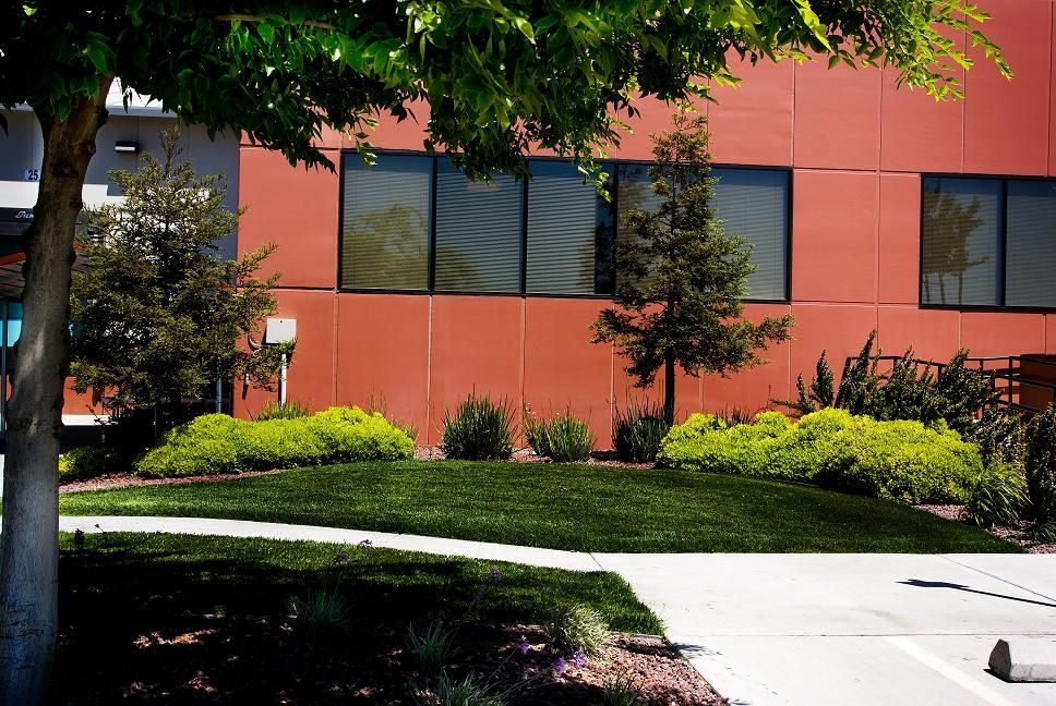 Red building with large windows, shrubs, and a tree-lined sidewalk in front.