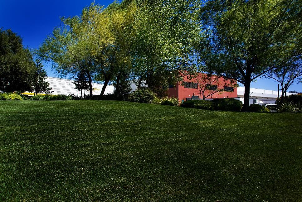 Green grassy hill with trees and a red building under a blue sky