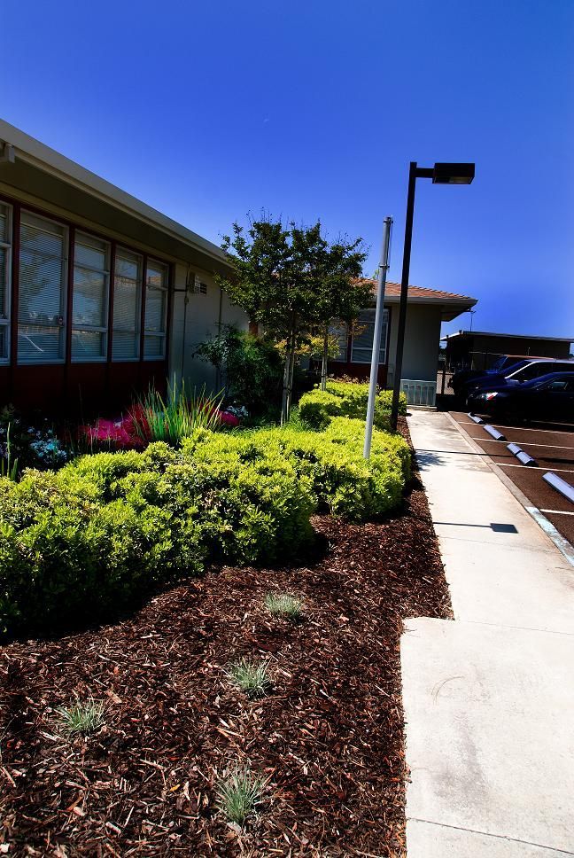 Sunny walkway beside landscaped shrubs and a building, with a parking lot and blue sky.