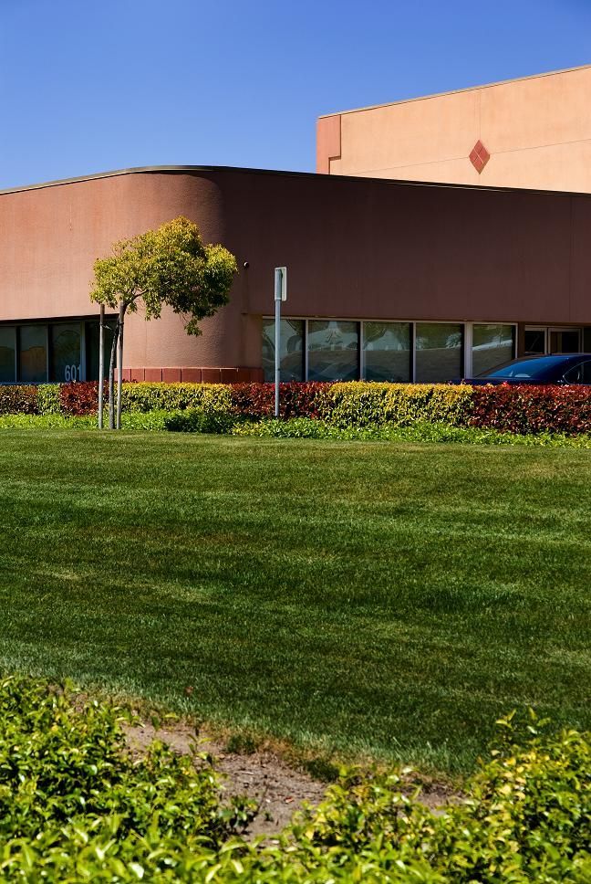 Low, curved building with tan and brown walls behind a green lawn and small tree under a clear blue sky
