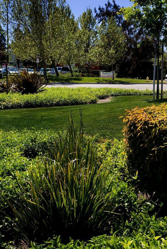 Landscaping