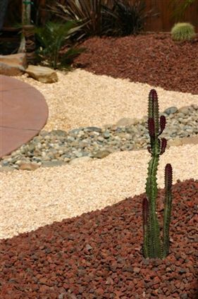Desert garden with layered gravel paths, red mulch, and a cactus in the foreground
