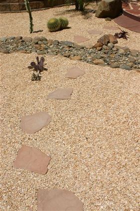 Desert garden path with stepping stones, tan gravel, and small succulents under sunlight